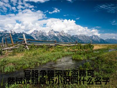 官路争雄宋立海林可然试读新章节（ 宋立海林可然）完结版小说-官路争雄宋立海林可然试读新章节小说全文免费阅读笔趣阁