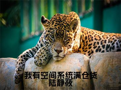 热文(我有空间系统满仓货陆静莜)美文阅读_热门小说我有空间系统满仓货陆静莜主人公是(陆静莜)完整版最新小说大结局_笔趣阁