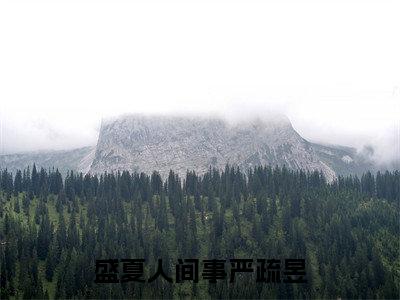 盛夏人间事严疏昱(桑澈严疏昱)全文免费阅读无弹窗大结局_盛夏人间事严疏昱_笔趣阁
