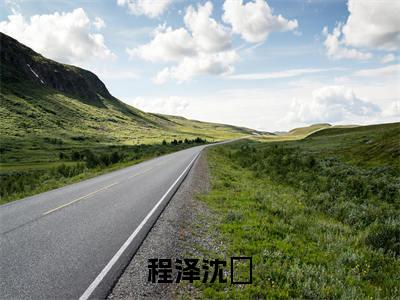 程泽沈玥小说(沈玥程泽)全文免费阅读无弹窗_程泽沈玥小说最新章节免费阅读_笔趣阁(沈玥程泽)