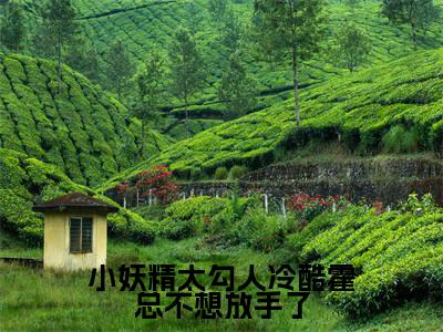 小妖精太勾人冷酷霍总不想放手了小说(霍砚岑桑)热推新书_小妖精太勾人冷酷霍总不想放手了最新章节在线阅读_笔趣阁