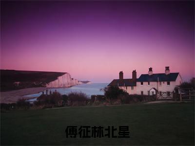 傅征林北星小说全文免费阅读无弹窗-(林北星傅征阅读无弹窗)穿越小说免费阅读_笔趣阁