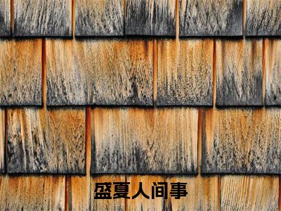 盛夏人间事热推新书小说全文（桑澈严疏昱）全文免费阅读_盛夏人间事最新章节无弹窗阅读