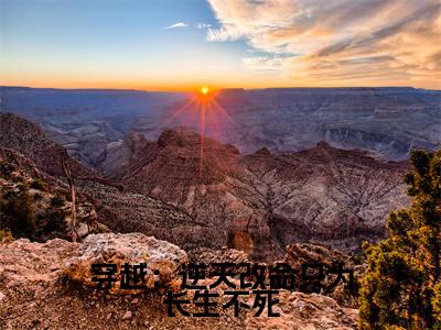 穿越：逆天改命只为长生不死是什么小说-（杨凌晨）穿越：逆天改命只为长生不死无弹窗免费阅读大结局最新章节列表_笔趣阁