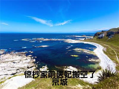 惊抄家前医妃搬空了京城最新章节（宫婉婉君无尘）全文免费阅读无弹窗大结局_宫婉婉君无尘惊抄家前医妃搬空了京城全文免费阅读