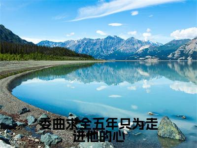 委曲求全五年只为走进他的心(陆西辞沈温杳)全文免费阅读-(陆西辞沈温杳无弹窗阅读)最新章节小说免费阅读
