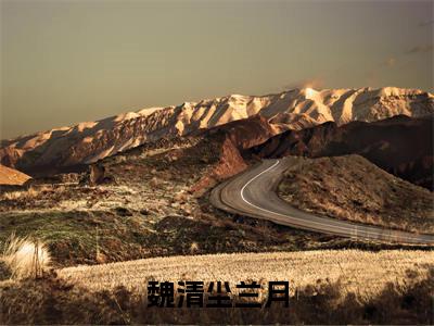 魏清尘兰月(魏清尘兰月)全文免费阅读无弹窗大结局_(魏清尘兰月)最新章节列表_魏清尘兰月