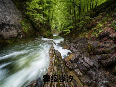 霍绥岑汐(岑汐霍绥)笔趣阁免费小说全文完整版-岑汐霍绥无弹窗免费阅读