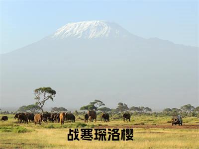 战寒琛洛樱（洛樱战寒琛）完整版小说阅读_-战寒琛洛樱最新章节列表（洛樱战寒琛）