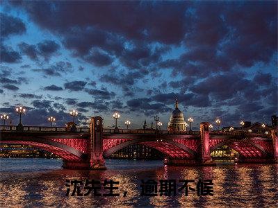 沈先生,逾期不候(孟琼沈逢西)全文免费阅读_沈先生,逾期不候(孟琼沈逢西)章节免费阅读-笔趣阁
