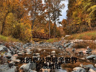 沐芷晴靳时川今日更新最新章节 我的老公觉得全世界都很肮脏在线阅读