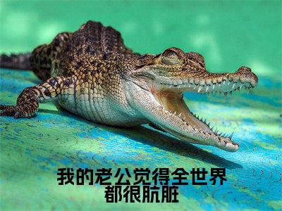 我的老公觉得全世界都很肮脏全文免费阅读(沐芷晴靳时川免费阅读无弹窗)我的老公觉得全世界都很肮脏最新章节列表_笔趣阁
