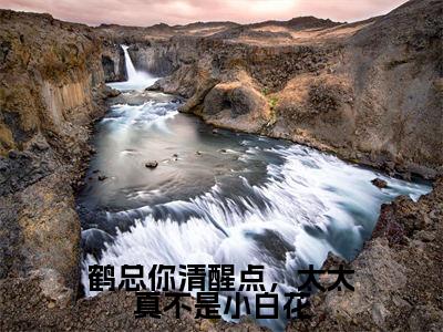 小说鹤总你清醒点,太太真不是小白花(鹤闻殊温皎小说免费阅读)完结阅读_鹤总你清醒点,太太真不是小白花全文免费阅读最新章节大结局