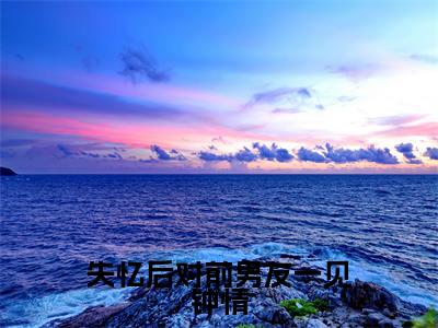 失忆后对前男友一见钟情小说(周栩原野)全文免费阅读_(失忆后对前男友一见钟情小说)周栩原野小说精彩在线赏析