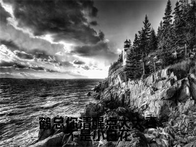 鹤闻殊温皎(鹤总你清醒点太太真不是小白花)在哪免费看-小说(鹤总你清醒点太太真不是小白花)全文完整版免费阅读鹤闻殊温皎