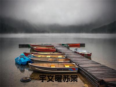 宇文曜苏棠(宇文曜苏棠全文免费阅读)无弹窗-宇文曜苏棠(宇文曜苏棠)完整版在线赏析笔趣阁