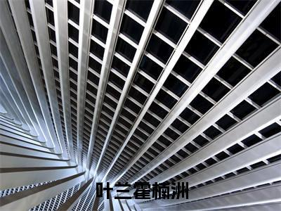 小说叶兰霍楠洲全文免费阅读无弹窗大结局_(叶兰霍楠洲)全文在线阅读