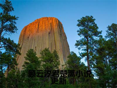  顾云汐君楚离（错爱上瘾，冷酷战神日日纠缠）全文免费阅读无弹窗大结局_ 顾云汐君楚离最新章节列表_笔趣阁（错爱上瘾，冷酷战神日日纠缠）