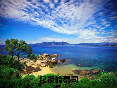纪凌皓秦司（秦司纪凌皓小说）在线阅读全文-秦司纪凌皓小说免费阅读完结版全文