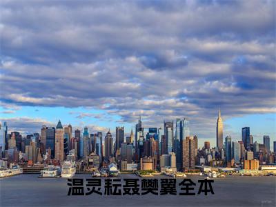 归程山海（ 温灵耘聂樊翼）全文免费阅读无弹窗完整版，(归程山海)免费阅读全文最新章节列表_笔趣阁