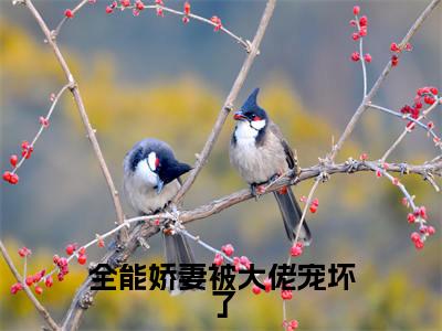 全能娇妻被大佬宠坏了全文免费阅读无弹窗-（ 傅宸轩楚云阮）全能娇妻被大佬宠坏了最新章节列表在线阅读