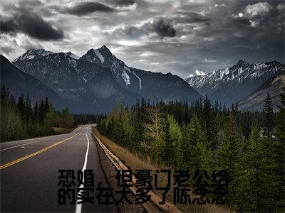 郁衡陈念念(郁衡陈念念)全文免费阅读无弹窗_恐婚,但豪门老公给的实在太多了陈念念小说在线阅读_笔趣阁
