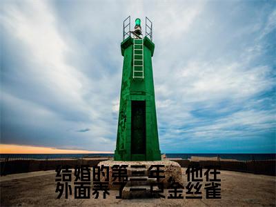 好书推荐小说结婚的第三年,他在外面养了一只金丝雀(沈烟怀姜姒)-结婚的第三年,他在外面养了一只金丝雀全文免费阅读大结局