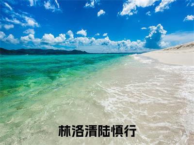 林洛清陆慎行小说全文(林洛清陆慎行)全文免费阅读无弹窗大结局_林洛清陆慎行小说免费最新章节列表_笔趣阁(林洛清陆慎行)