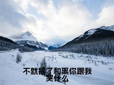 (热推新书)《不就提了和离你跟我哭什么》顾尘无弹窗阅读_不就提了和离你跟我哭什么最新章节列表_笔趣阁