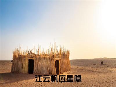 应星隐江云帆（江云帆应星隐）全文免费阅读无弹窗大结局_应星隐江云帆江云帆应星隐最新章节列表_笔趣阁