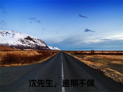 孟琼沈逢西小说(沈先生,逾期不候)全文免费阅读无弹窗大结局_沈先生,逾期不候小说最新章节列表_笔趣阁