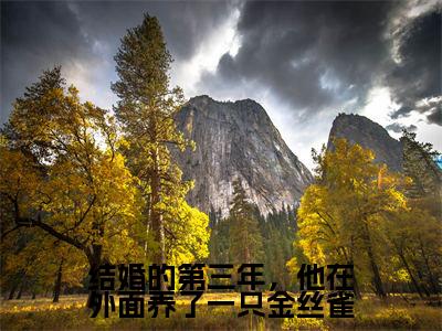 结婚的第三年，他在外面养了一只金丝雀免费阅读全文免费阅读无弹窗大结局_ (沈烟怀姜姒小说免费阅读)结婚的第三年，他在外面养了一只金丝雀最新章节阅读