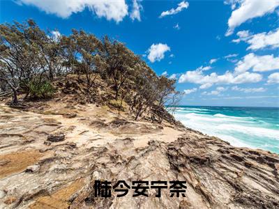 宁奈陆今安全文（陆今安宁奈）全文免费阅读无弹窗大结局_（宁奈陆今安全文）陆今安宁奈全文最新章节列表_笔趣阁（宁奈陆今安全文）