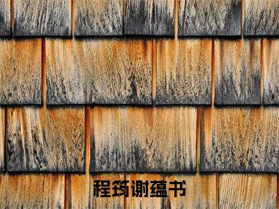 程筠谢蕴书免费小说_程筠谢蕴书免费最新章节列表_笔趣阁