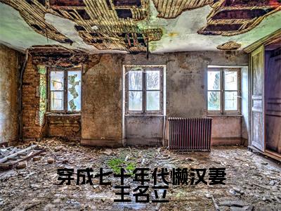 穿成七十年代懒汉妻王名立（沈思言王名立）新上热文小说讲的是什么-小说穿成七十年代懒汉妻王名立（沈思言王名立）全文免费阅读