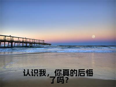认识我,你真的后悔了吗?免费小说-认识我,你真的后悔了吗?完结版在线阅读