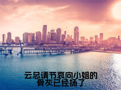 云总请节哀向小姐的骨灰已经扬了（向晚云琰）全文免费阅读无弹窗大结局_云总请节哀向小姐的骨灰已经扬了全文阅读完整版_笔趣阁（向晚云琰）