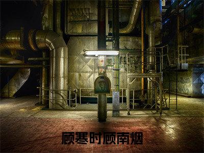 顾南烟顾寒时(顾寒时顾南烟)全文免费阅读无弹窗大结局_(顾寒时顾南烟小说免费阅读)_笔趣阁