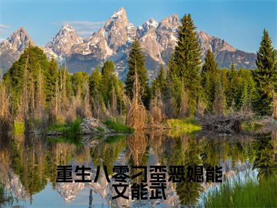重生八零刁蛮恶媳能文能武小说(纪菘蓝沈昭)全文免费阅读无弹窗大结局_纪菘蓝沈昭小说最新章节列表_笔趣阁