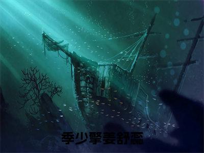 季少擎姜舒蕊全文阅读-(姜舒蕊季少擎)季少擎姜舒蕊小说全文免费阅读_最新章节列表_笔趣阁