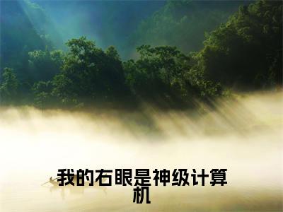 刘弟(我的右眼是神级计算机)完整全文在线阅读_我的右眼是神级计算机小说全章节目录阅读(刘弟)