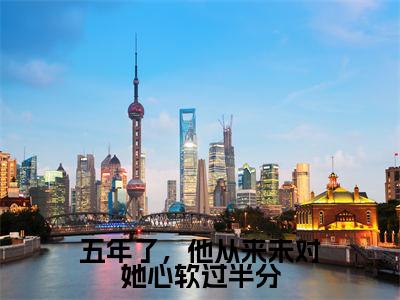 五年了,他从来未对她心软过半分(姜意南盛淮安)全文免费阅读_(姜意南盛淮安)小说五年了,他从来未对她心软过半分最新章节阅读(五年了,他从来未对她心软过半分)