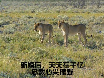 (宴泽宋可可)新婚后,天天在千亿总裁心尖撒野全文免费阅读无弹窗_(新婚后,天天在千亿总裁心尖撒野小说免费阅读)最新章节列表笔趣阁