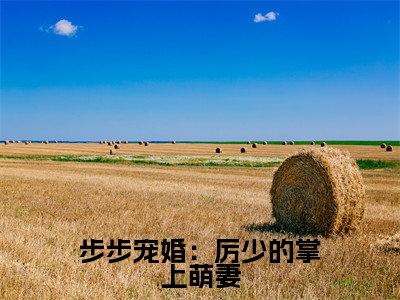步步宠婚:厉少的掌上萌妻小说全文免费阅读(时小棠厉凌风)全文免费阅读无弹窗大结局_(步步宠婚:厉少的掌上萌妻)时小棠厉凌风结局最新章节列表_笔趣阁(时小棠厉凌风)