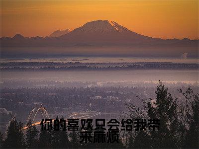 主角为盛吟微厉书昱的小说(你的喜欢只会给我带来麻烦)无弹窗大结局-最新小说你的喜欢只会给我带来麻烦全文阅读最新章节列表_笔趣阁