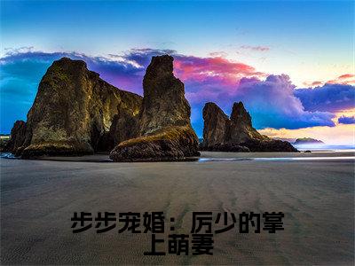 步步宠婚:厉少的掌上萌妻小说免费下载(步步宠婚:厉少的掌上萌妻完整全集已完结大结局小说)_时小棠厉凌风免费阅读笔趣阁