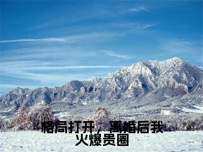 格局打开,离婚后我火爆贵圈(厉凌炀宁以初)高质量小说免费阅读_格局打开,离婚后我火爆贵圈最新章节列表_笔趣阁
