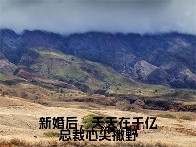 宴泽宋可可是哪部小说的主角-新婚后，天天在千亿总裁心尖撒野（宴泽宋可可）全文无弹窗完整版阅读新婚后，天天在千亿总裁心尖撒野