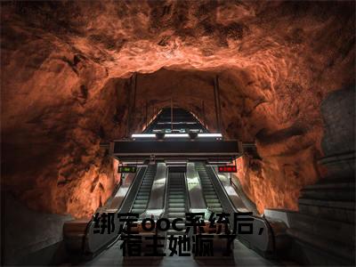小说绑定ooc系统后,宿主她疯了无弹窗免费阅读-新上热文小说(何萱)讲的是什么