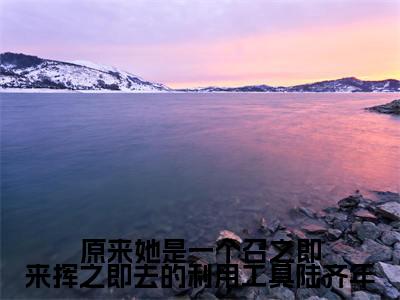 原来她是一个召之即来挥之即去的利用工具陆齐年（宋清浅陆齐年小说）全文免费阅读无弹窗大结局_(宋清浅陆齐年小说)原来她是一个召之即来挥之即去的利用工具陆齐年最新章节列表_笔趣阁（宋清浅陆齐年）